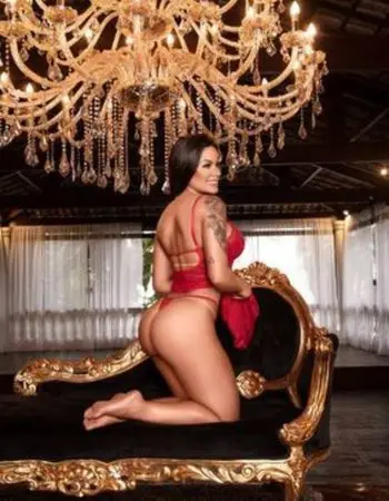 Camisola de renda - Imagem 2